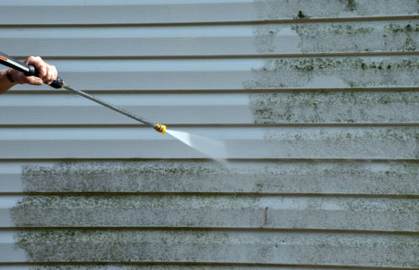 Office Mold Removal Services in Tahlequah, OK