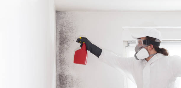 Best Mold Cleaning Services  in Tahlequah, OK