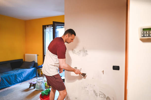 Best Mold Removal Company Near Me  in Tahlequah, OK